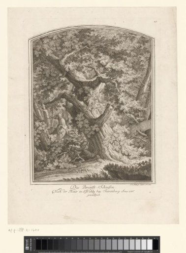 Hunter shooting a rutting stag