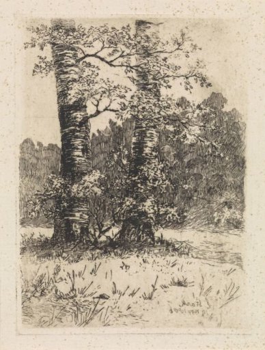Two trees