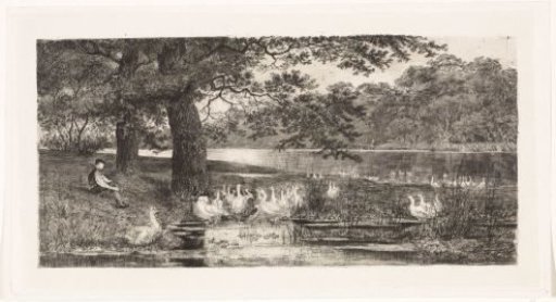 Geese by the water