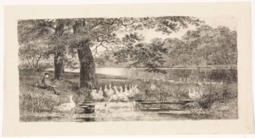 Geese by the water