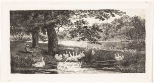 Geese by the water