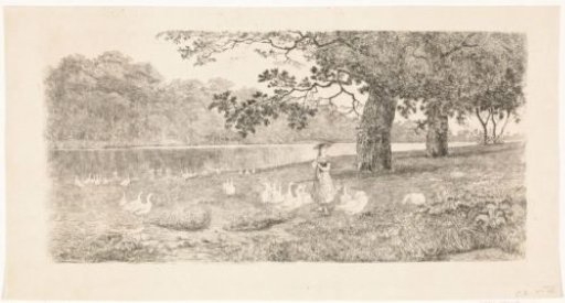 Geese by the water