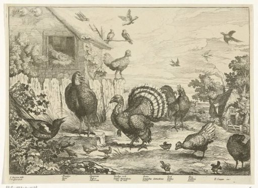 Poultry