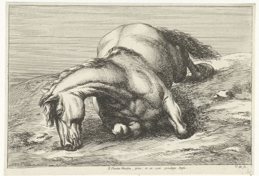 Dead horse lying on the right side