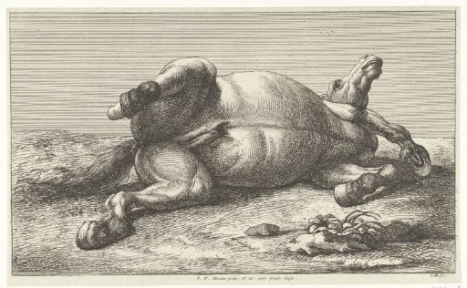 Dead horse lying on the left side