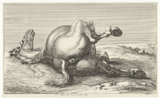 Fallen Horse
