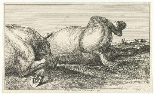 Two fallen horses lying one behind the other