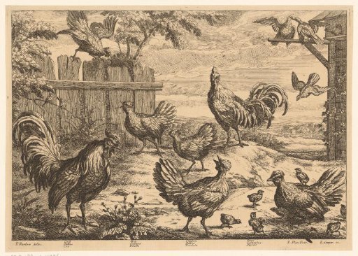 Roosters, hens and doves in a landscape