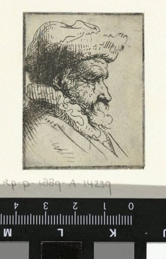 Bust of a man