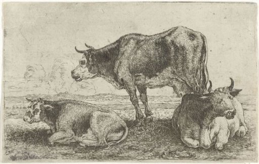 Three cows
