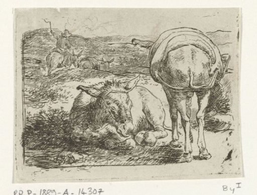 Two donkeys