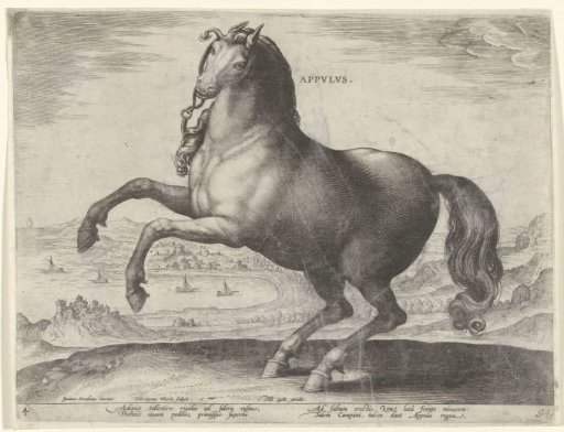 Horse from Southern Italy (Appulus)