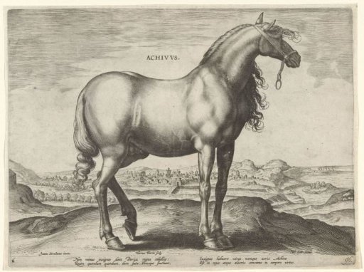 Horse from Greece (Achivus)