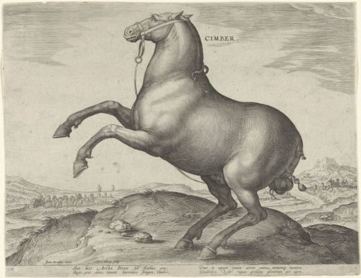 Horse from Scythia