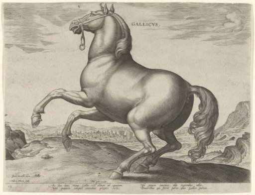 Horse from France (Gallicus)