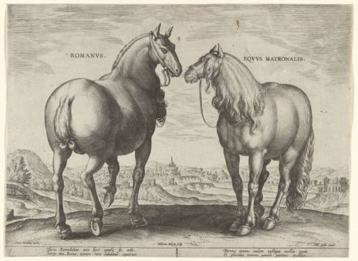 Horse from Rome and a broodmare