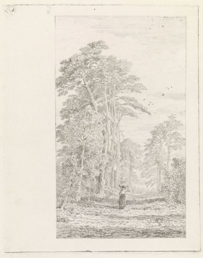 Avenue of Pines