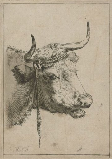 Head of a cow
