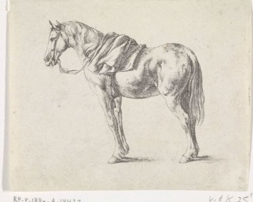 Saddled horse to the left