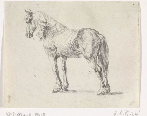 Standing horse to the left