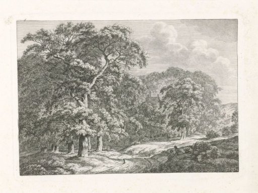 Landscape with tall trees