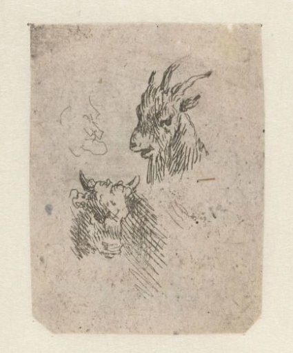 Heads of a goat and a cow