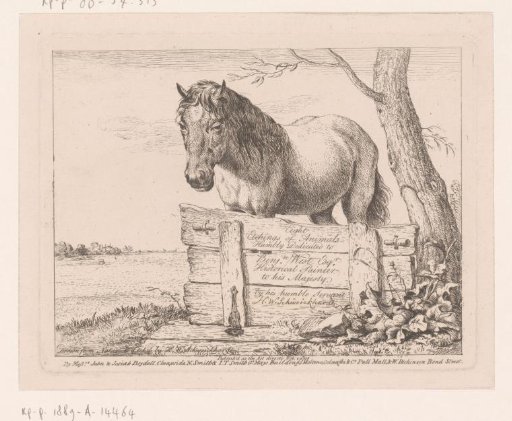 Horse behind a Wooden Partition