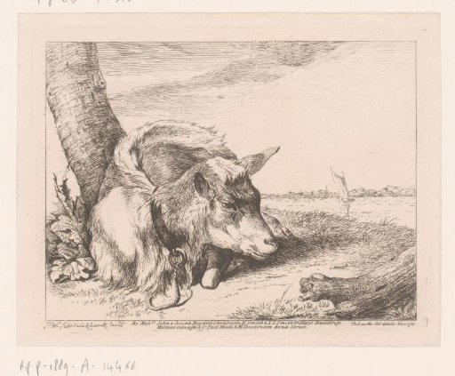 Goat lying by water
