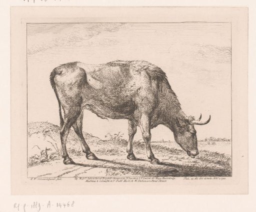 Bull