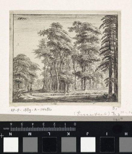 Two Figures on a Winding Path in a Forest