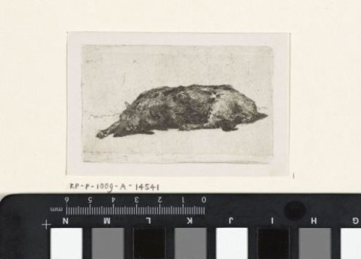 Slapende hond