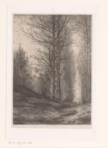 Tree-lined Avenue with Rider