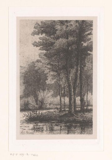 Trees by the Water