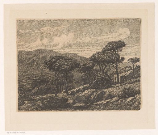 Mountainous landscape with trees