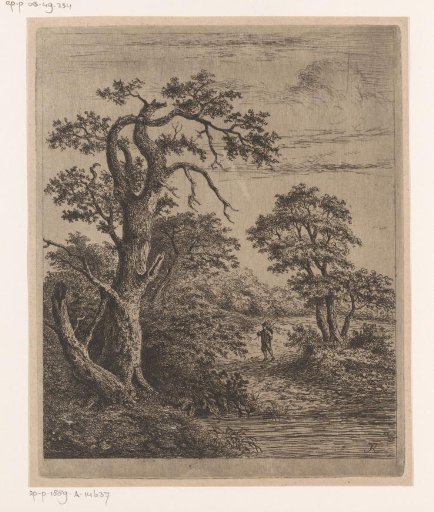 Landscape with a walker by the water
