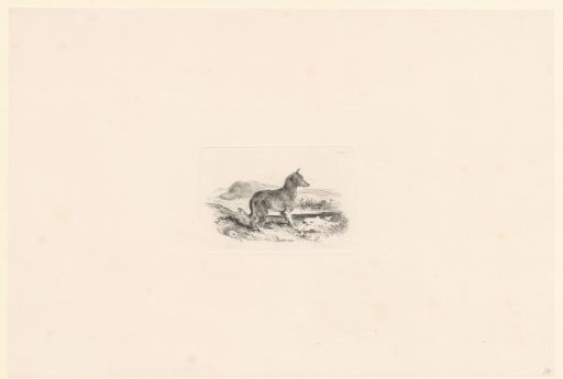 Landscape with a watch dog