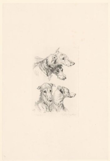 Four dog heads