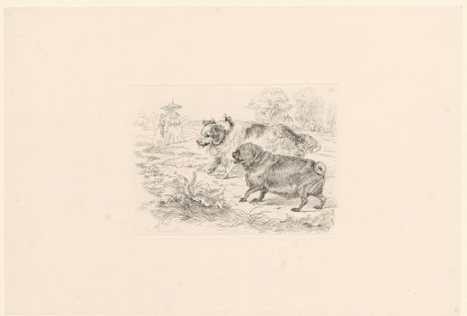 Two plump dogs with bow and bell