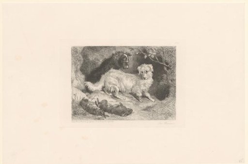 Two dogs by two dead hares