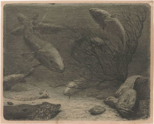 Aquarium