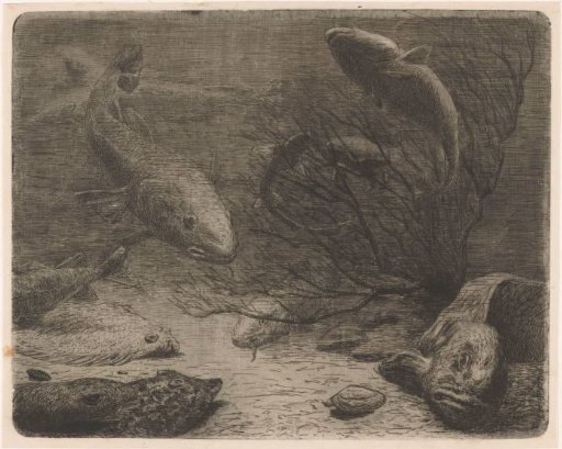 Aquarium