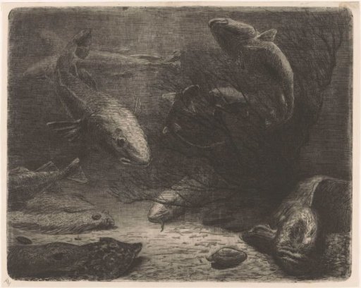 Aquarium