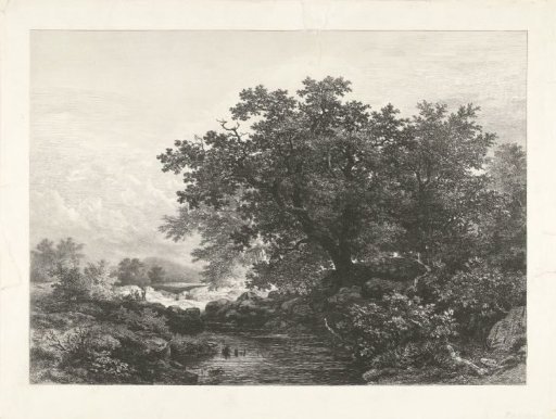 View in the Bakony forest