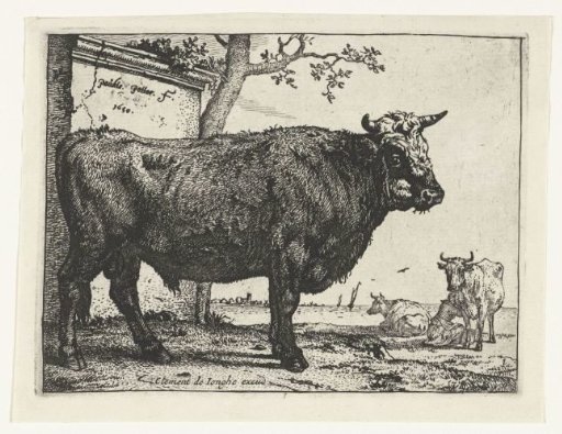 Bull