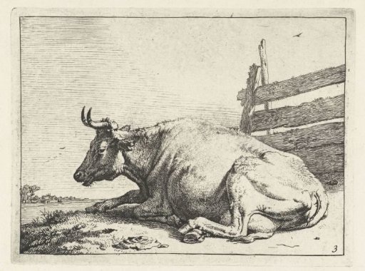 Lying cow by a fence
