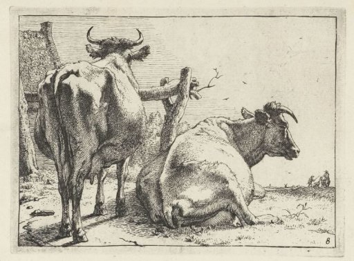 Two cows seen from behind