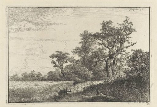 The Cornfield