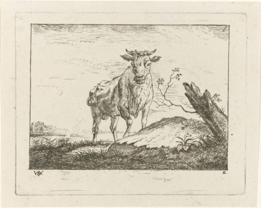 Bull on a Riverbank
