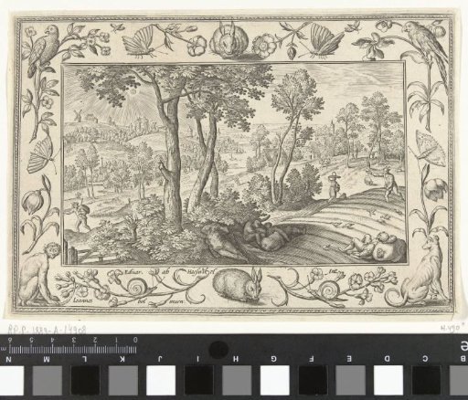 Tares among the Wheat
