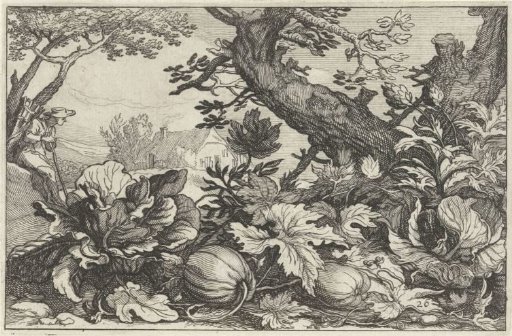 Landscape with pumpkins and coal